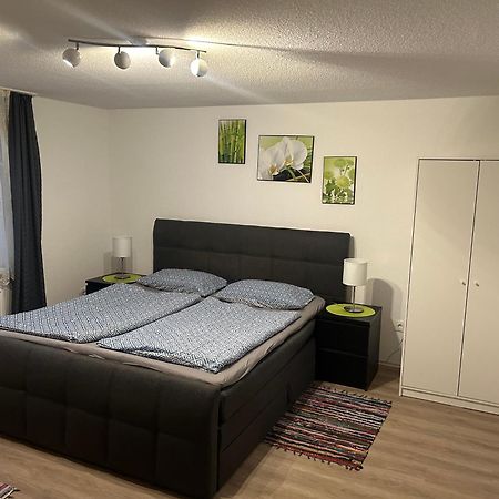 Ferienhaus Ayna, Direkt An Der Schweizer Grenze Bad Säckingen Extérieur photo