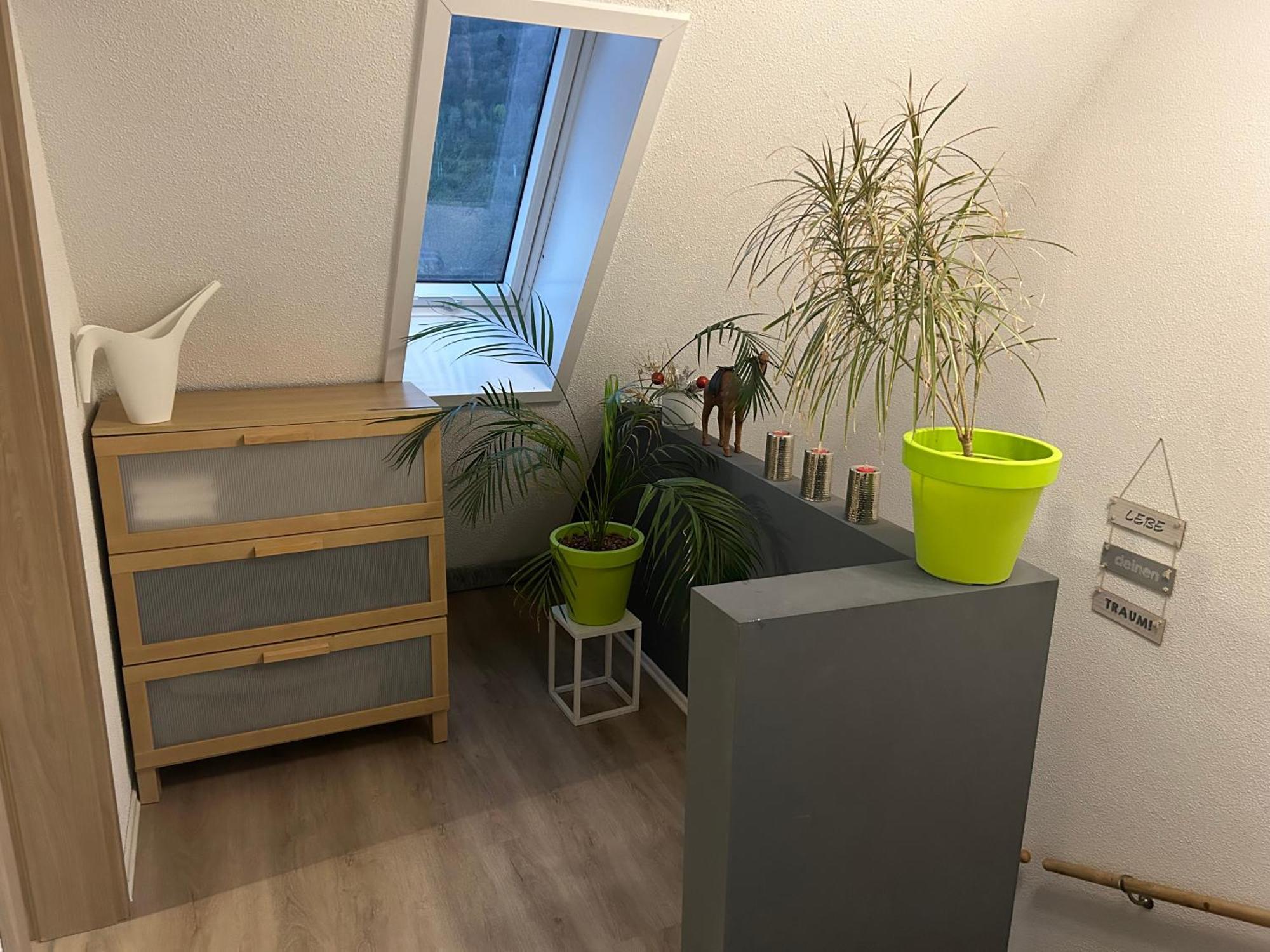 Ferienhaus Ayna, Direkt An Der Schweizer Grenze Bad Säckingen Extérieur photo